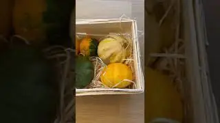 Осенний декор из тыкв и патиссонов. 