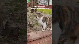 We don't deserve animals ! 
