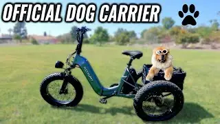 eBike to Carry Dog! | Puckipuppy Husky Trike