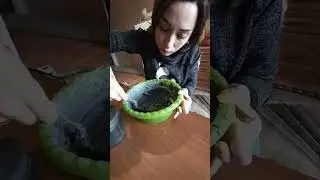 BLACK WORM KAZAKHSTAN 