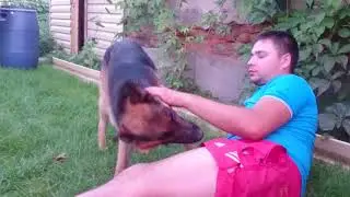 Хозяин и его любимая немецкая овчарка