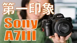 [日本語]Sony A7III 第一印象 D750と比較 ISOテスト ダイナミックレンジ