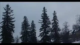 Неизвестное Существо пришло Ночью. И забрало угощение. An unknown creature came at