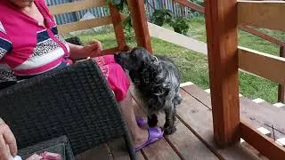 Сочи. Горное Лоо. Утро. +20°C. 17.06.2023г.©