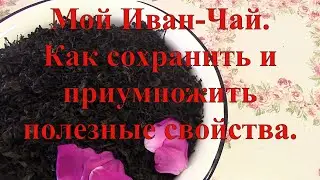 Мой Иван Чай  Как сохранить и приумножить полезные свойства