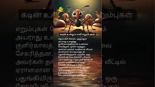 கடின உழைப்பாளி எறும்புகள் 🐜