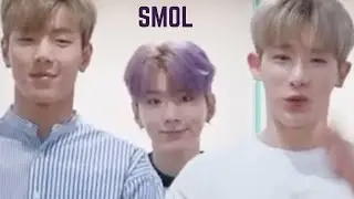 kihyun smol but daddy