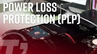 What is PLP?  | Transcend Embedded