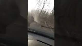 LEI ÎN PALANCA
