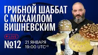 Грибной шаббат с Михаилом Вишневским №12. Другие мухоморы