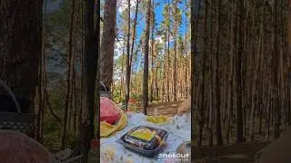 Отдых в лесу. С днём рождения  мама! 🎁