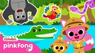 ¿Quién Vive en la Selva? | Canciones de la Selva | Canción de Sonidos | Pinkfong en español