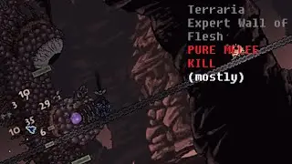 Terraria - Expert Wall of Flesh Pure Melee Kill