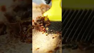 Connect with Nature: A Beekeeping Journey at Banwa Private Island