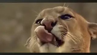 my video % 22 октября 2024 г.