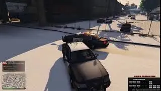 LSPDFR - Police AI Driving Bug