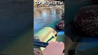 ЖЕСТОКО НАКАЗАЛИ БРАКОВ!!! #shorts