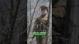 The Hidden World North Koreans' Secret Quest for Foreign Media