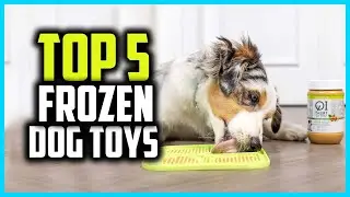 ✅Top 5 Best Frozen Dog Toys for Cooling Down a Hot Pup in 2024