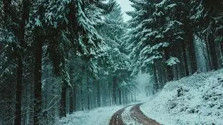 Relaxing Music for Stress Relief ~ Meditation ~Sleep ~Healing Music~ Meditation Music ~Spa Music