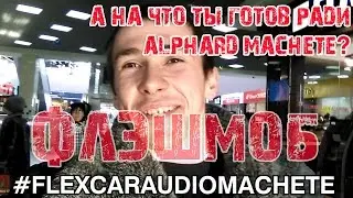 ✔️ А на что ты готов ради Alphard Machete? ФЛЕШМОБ