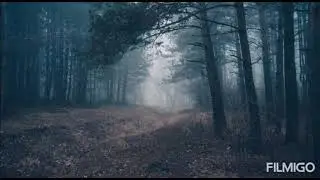 Литвиненко - За туманами (Bass)