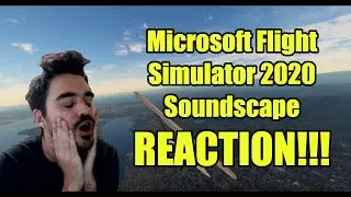 Flight Simulator 2020 Soundscape Reaction