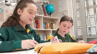 Mount Barker South Primary School - Levels of Learning
