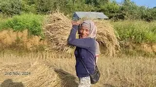 SINGNGAT HAIJANG TE CHANGDEN/CHANGVOH AHAT UVE 2ND NOV,2024- ALAMDANG MEDIA