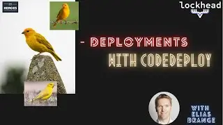 How birds and deployments come together in #cicd - using #aws #codedeploy - and canary deploments