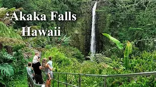 Journey to Hawaii's Famous 'Akaka Falls