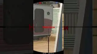 Баг 