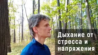 Простое упражнение для снятия стресса за 5 минут