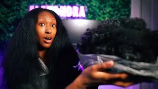 Why I Combed My 2-Year Locs Out #locjourney #locremoval