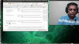 What is wuauclt.exe?