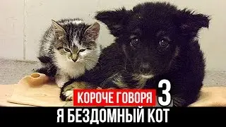 КОРОЧЕ ГОВОРЯ, Я БЕЗДОМНЫЙ КОТ 3