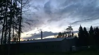 Ужасный лесу Краснознаменск