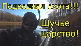 Подводная охота 2021!!! Щучье царство!!!