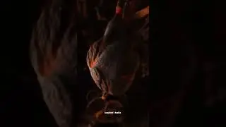 Arson ✨️☄️ [watch till end] #shorts