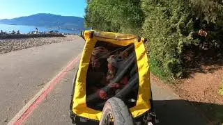 Aria and Zoe in Bike Trailer (4K)