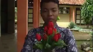 mavie - 30 menit