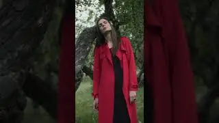 cinematic reels 3