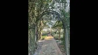 Beethoven's Op 57 Sonata - Nicholas Teague