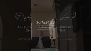 Surat Al-Mulk Challenge | Verse 22 | Memorize One Verse Each Day