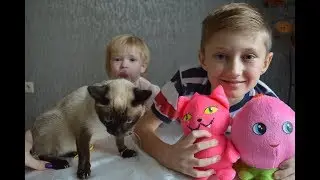 МЯГКИЕ ИГРУШКИ ОТ Давид Энерджи