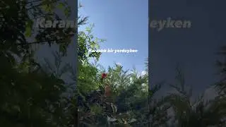 Hayatımda duyduğum en anlamlı dizeler! 🩶