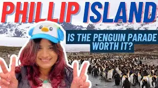 Phillip Island Penguin Parade | Best Place to VISIT in Australia in 2023 | Best Tourist Attractions