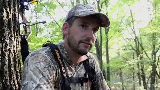 Bowhunting Whitetail Deer | The Oaks Are Dropping!