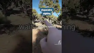 chupacabra