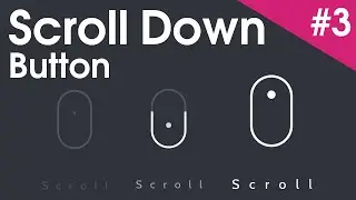 Scroll Down Button Animation | Pure HTML/CSS | #3